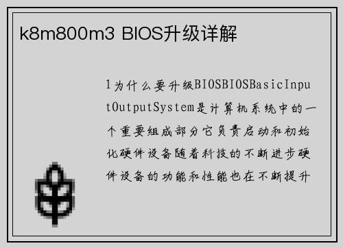 k8m800m3 BIOS升级详解